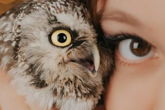 BoaBoa Casino Suporte